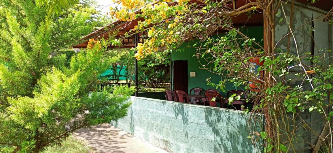 Green Hills Farm And Guest House Масинагуди Экстерьер фото